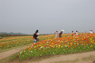 20100508-2.jpg