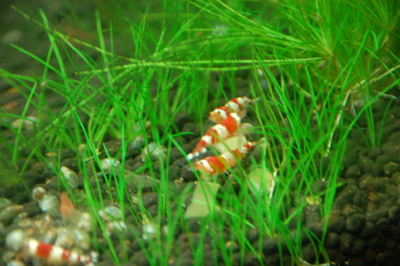 20110101-2.jpg
